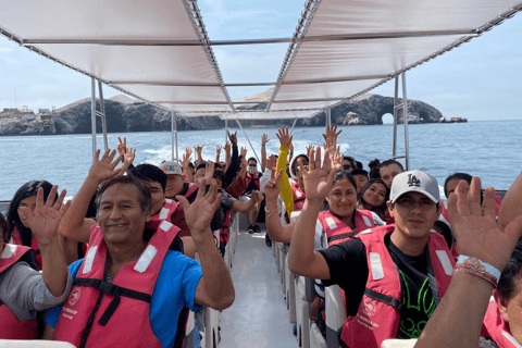 Paracas: Ballestas Islands Morning Boat Tour