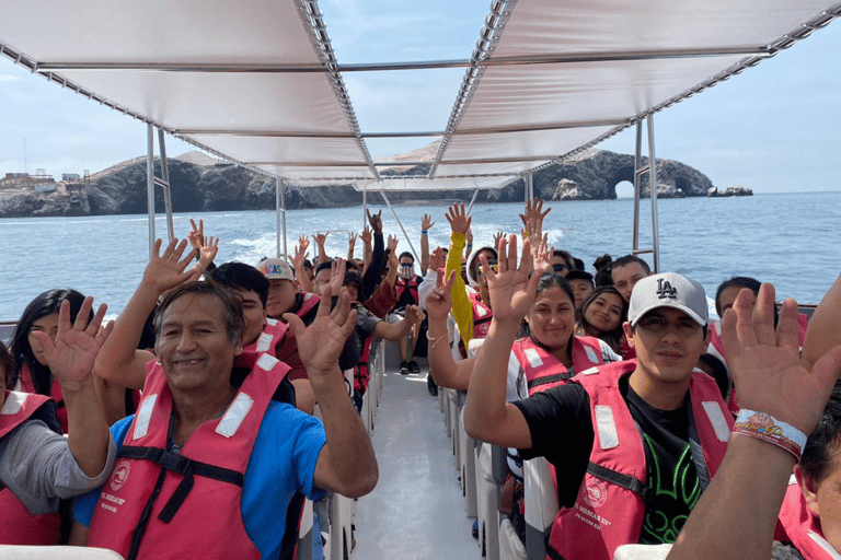 Paracas: Ballestas Islands Morning Boat Tour