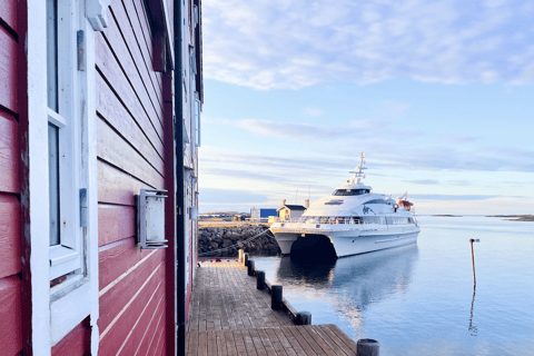 特罗姆瑟峡湾巡游——在索马罗伊岛停留峡湾巡游特罗姆瑟——途经索马罗伊岛