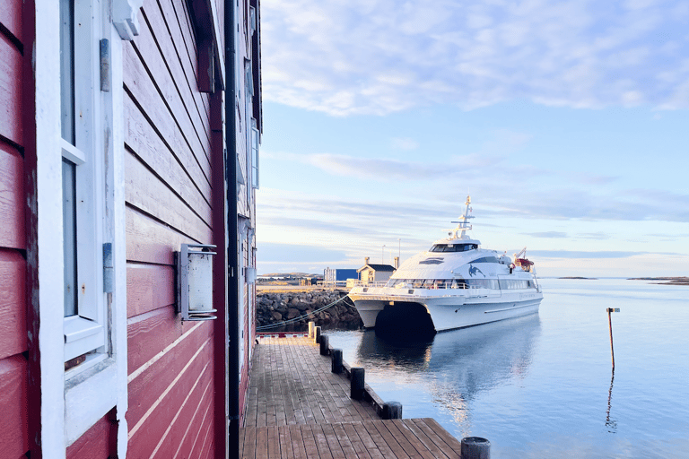 特罗姆瑟峡湾巡游——在索马罗伊岛停留峡湾巡游特罗姆瑟——途经索马罗伊岛