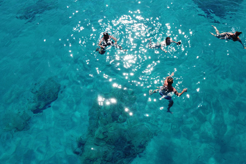 Protaras : La croisière farniente avec The Yellow Boat Cruises