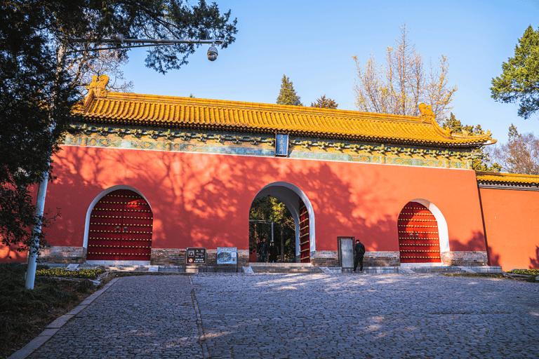 Med tur och retur snabbtåg från Shanghai till Nanjing stadsrundtur