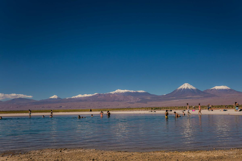 Desierto de Atacama: Refrescante Flotación en Laguna Cejar y Puesta de Sol