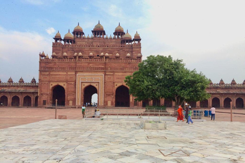 Vanuit Delhi: Agra op dezelfde dag met de snelste trein van IndiaTour vanuit Delhi: 1e klas treinbus, chauffeur &amp; gids