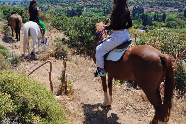 Bodrum: Horse Riding Experience with Forest or Seaside Route Seaside Horse Riding Tour (2 Hours – Beach Route)