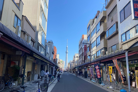 Tokio: Tour privado en coche con Mai