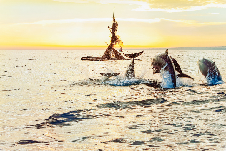 Norte de Bali: amanecer con delfines, cascadas y templosOpción privada prémium