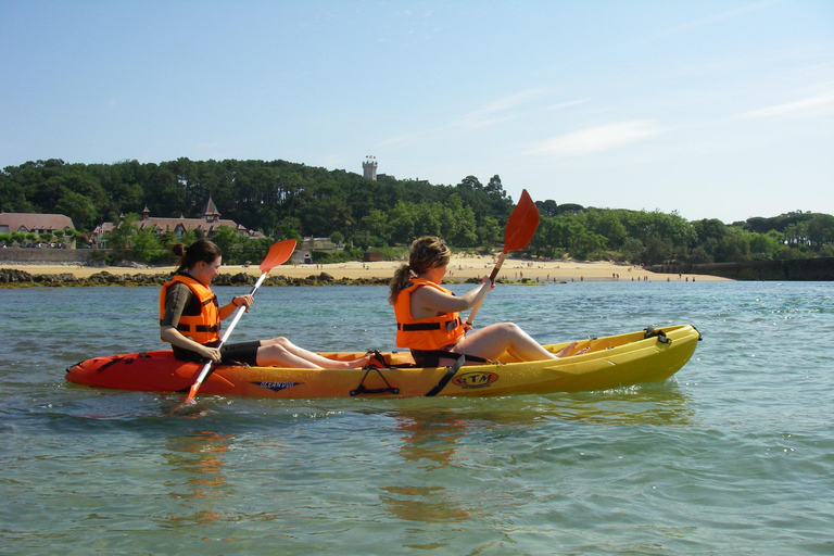 Tour guiado en kayak por la Bahía de Santander.