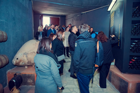 Au départ d&#039;Erevan : Visite privée des vignobles, visite des vignobles, musée du vinVisite privée avec guide