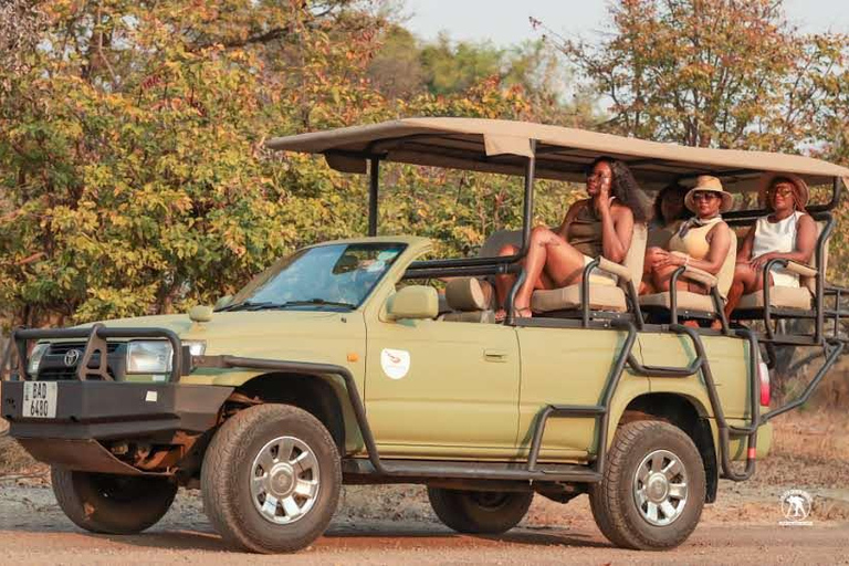Livingstone :Sunset Game Drive and Rhino tracking With Drink