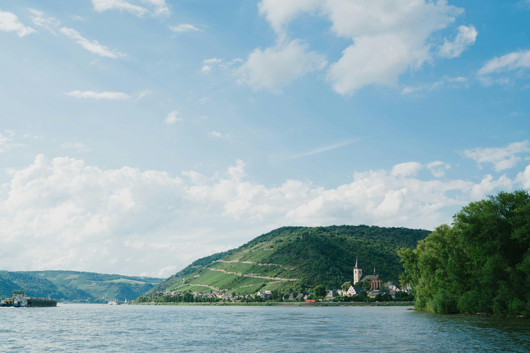 Frankfurt: Excursão de um dia a Heidelberg, Rüdesheim e Vale do RenoTour particular personalizado