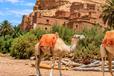 Marrakech: 3-Day Merzouga Desert Tour with Luxury Camp Private Tour – Your Group Only