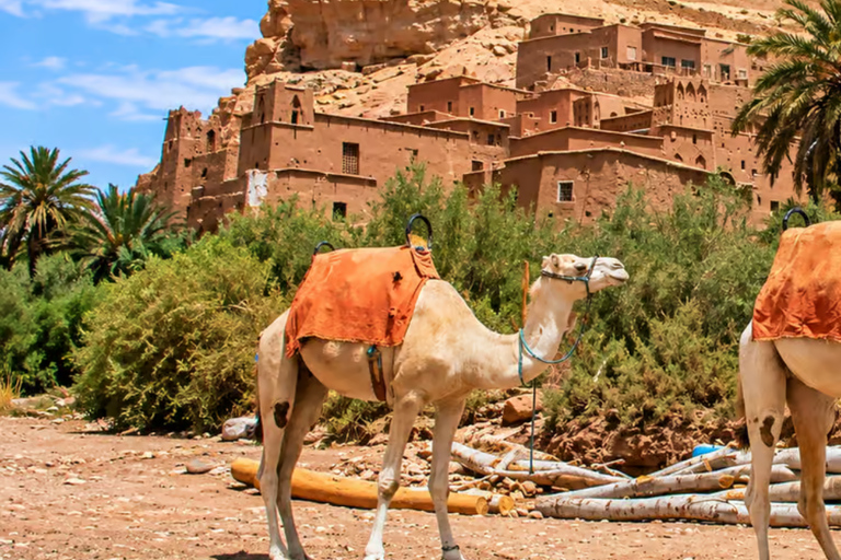 Marrakech: 3-Day Merzouga Desert Tour with Luxury Camp Private Tour – Your Group Only