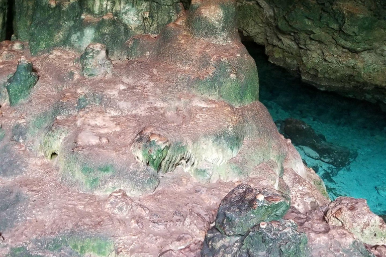 Zanzibar: Jozani Forest en Kuza Cave rondleiding