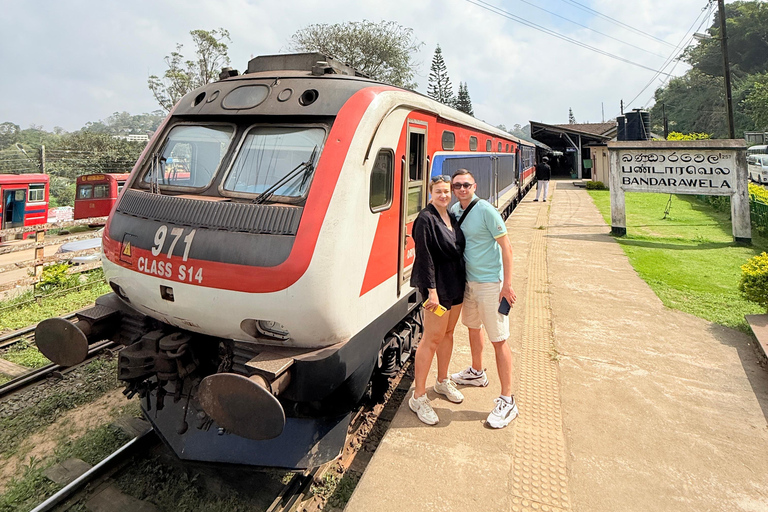 Excursão de dia inteiro a Ella saindo de Mirissa/Ahangama/Hikkaduwa/BentotaExcursão de dia inteiro a Ella a partir de Mirissa/Ahangama/Hikkaduwa/Bentota