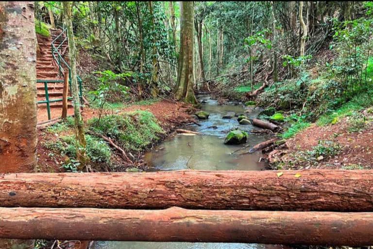 Karura guided walking tour