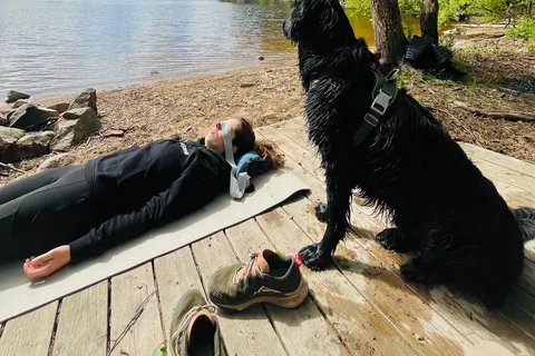 Oslo: Yoga och vandring Yoga & vandring med hund