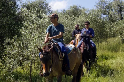 Florenz: Reiten & Aperitivo im Chianti