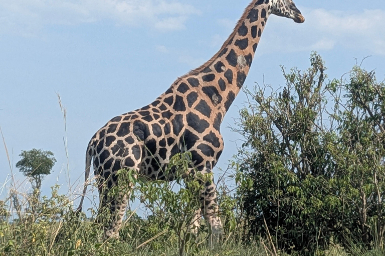 Murchison Falls 2-Day Safari with Boat Cruise