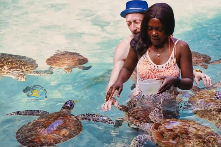 Sansibar: Schwimme mit Schildkröten &amp; transparentem Kajak mit Drohne