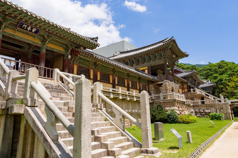 Busan & Gyeongju Highlights 2 Days Combo Tour from Busan