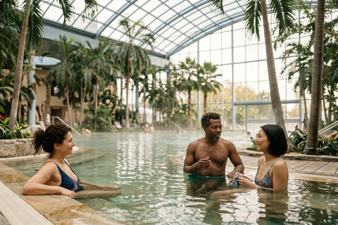 Therme Bucharest Palm, Galaxy or Elysium Access & Transfer 12 HOURS Therme Bucharest Palm, Galaxy Access & Transfer