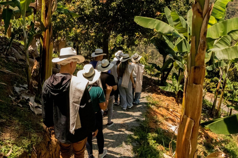 Medellin: Coffee and fruit tour