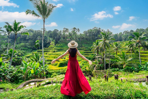 Bali: Saraswati Temple & Ubud Monkey Forest with Waterfalls Small-Group Tour