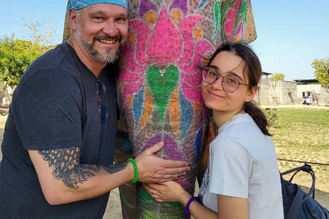 Jaipur: Hathigao Elephant Village Ride, Feeding, & Photos Riding, Feeding, Climbing And Photography with Elephant