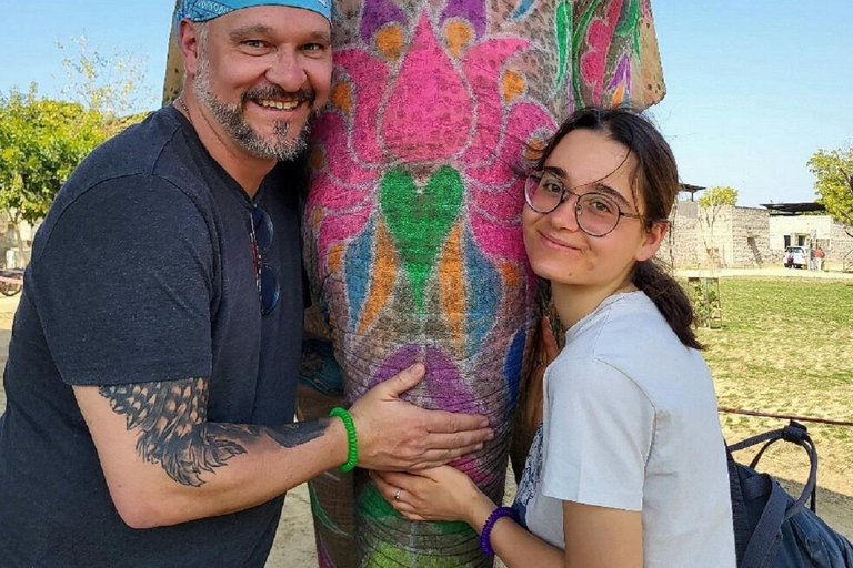 Jaipur: Hathigao Elephant Village Ride, Feeding, & Photos Riding, Feeding, Climbing And Photography with Elephant