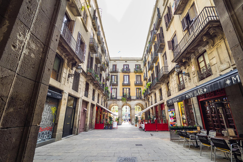 Best of Barcelona: Private Guided Tour with Pick-up