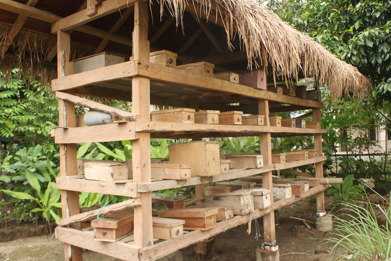 Bagek Kembar: Mangrove & Stingless Beekeeping Experience