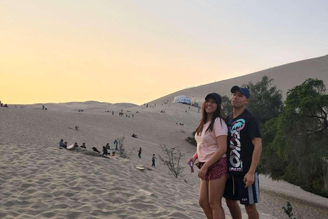 Full-Day Tour to Paracas, Vineyards and Huacachina