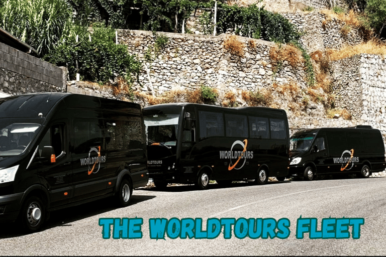 Naples/Salerno Port: Discover the Pompeii Archeological Site Naples port: Regular Grp - French