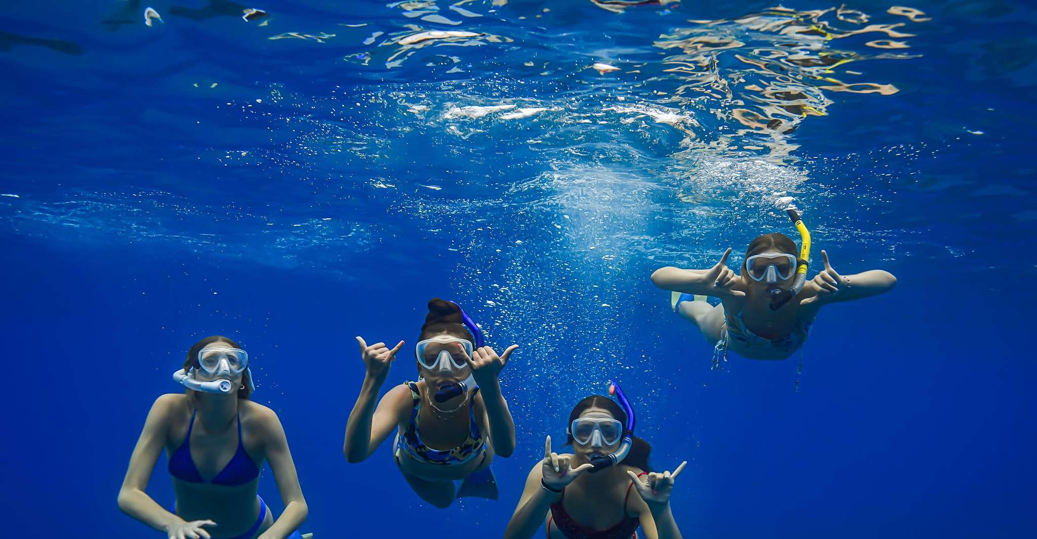Lahaina, Turtle Town Snorkeling Trip with Photo and Video - Housity