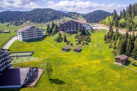 From Brasov: Bear Sanctuary, Bran Castle & Alpine Ride Bear Sanctuary & Bran Castle