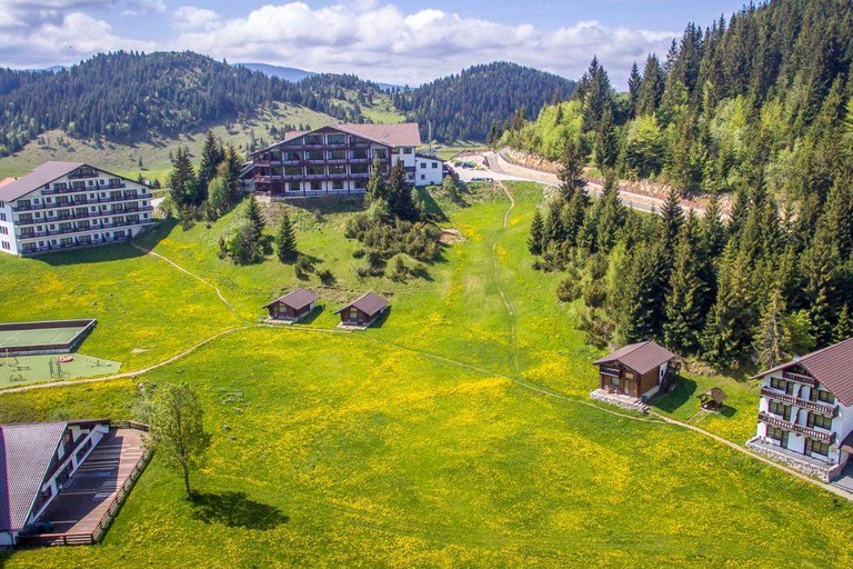 From Brasov: Bear Sanctuary, Bran Castle & Alpine Ride Bear Sanctuary & Bran Castle