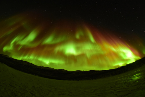 Abisko: Aurora jagen met sneeuwscootersAurora achtervolging - Slede