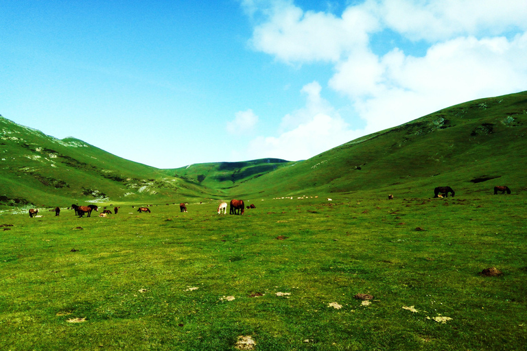 Saint-Sébastien : Randonnée au cœur du Pays basque