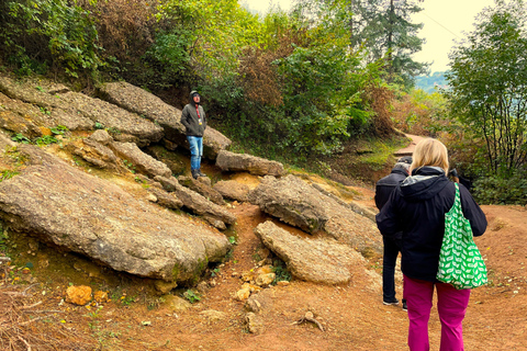 Excursão para pequenos grupos saindo de Sarajevo - Bosnian Pyramid MysterySarajevo Tour Misterioso pelas Pirâmides da Bósnia