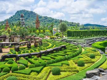 Pattaya: Nong Nooch Tropical Garden Ticket for Foreigners
