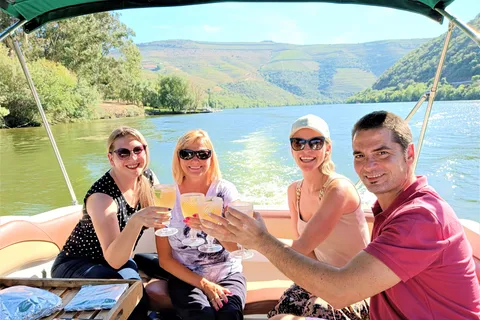 Porto: Douro Valley, 2 Wineries, Lunch & Private Boat Trip
