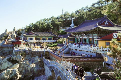Busan Coastal Tour: Yonggungsa, Cruise & Gamcheon