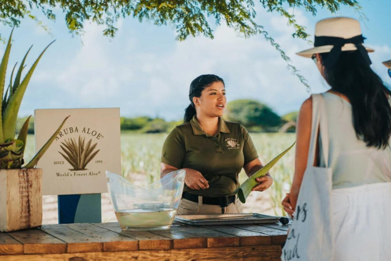 Oranjestad: Halvedaagse tour op Aruba met topattractiesPrivé Tour van een halve dag op een eiland