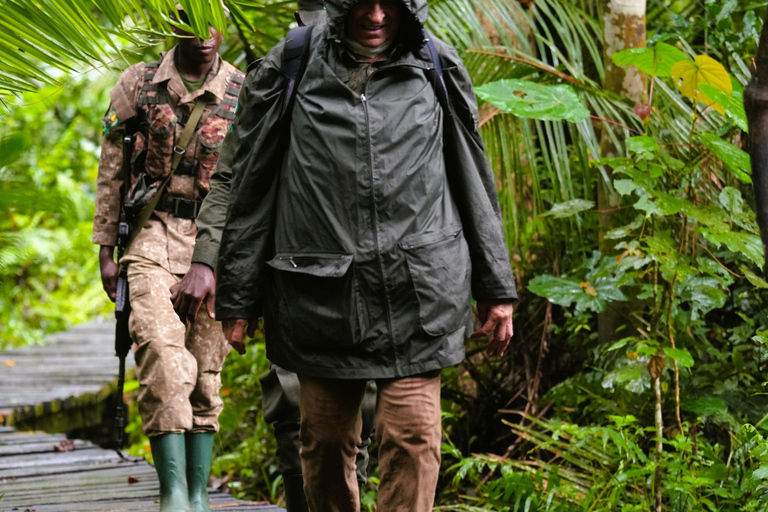 3-Day Ugandan tour with Murchison Falls, Rhinos & Chimpanzee