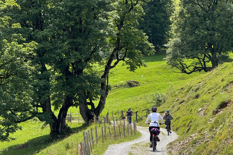 جولة بدراجة كهربائية في وادي روزنلاوي من إنترلاكن