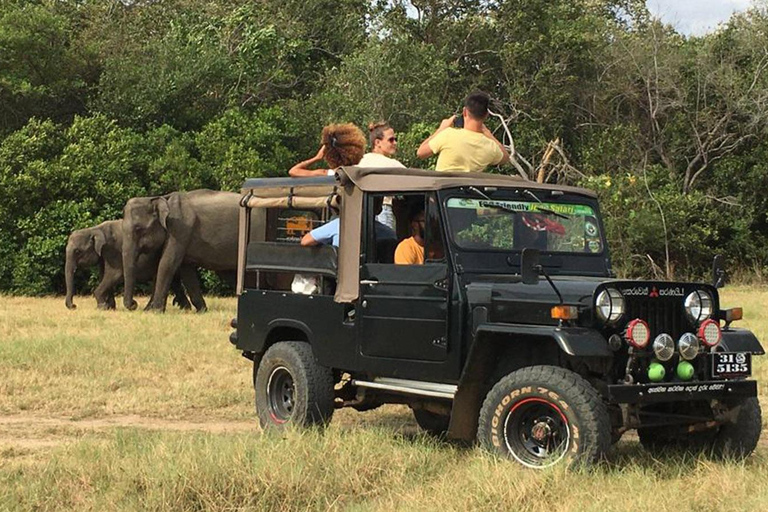 Minneriya: Safári selvagem e passeio turístico em PolonnaruwaSafári selvagem em Minneriya e excursão de um dia a Polonnaruwa