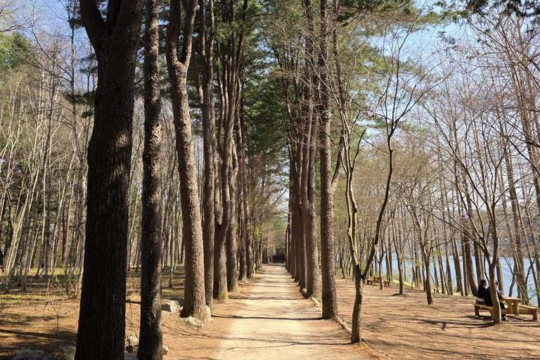 Seoul: Hallyu Nami Island Day Trip with romantic Train