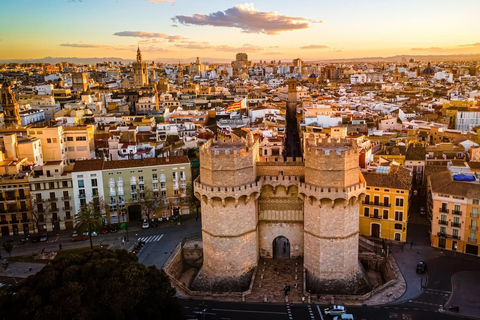 From Alicante: Day Trip to Valencia and the Albufera with Boat Ride From Alicante in English