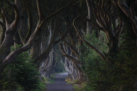 Giants causeway Irish castles & whiskey, Game of thrones